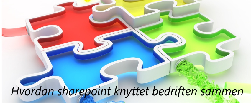 hvordan-sharepoint-knyttet-bedriften-sammen2