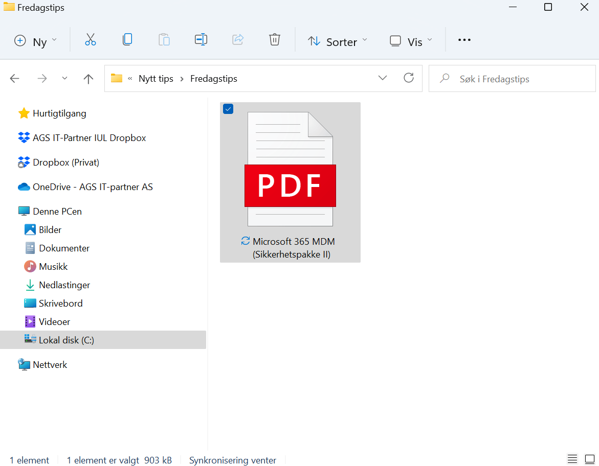Sammendrag av PDF med Microsoft Copilot i Edge 1