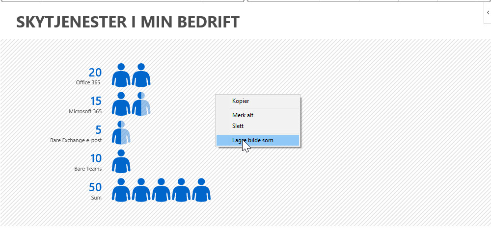 Slik bruker du People Graph i Excel 11