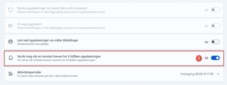 Oppdater Windows automatisk når du ikke jobber 3