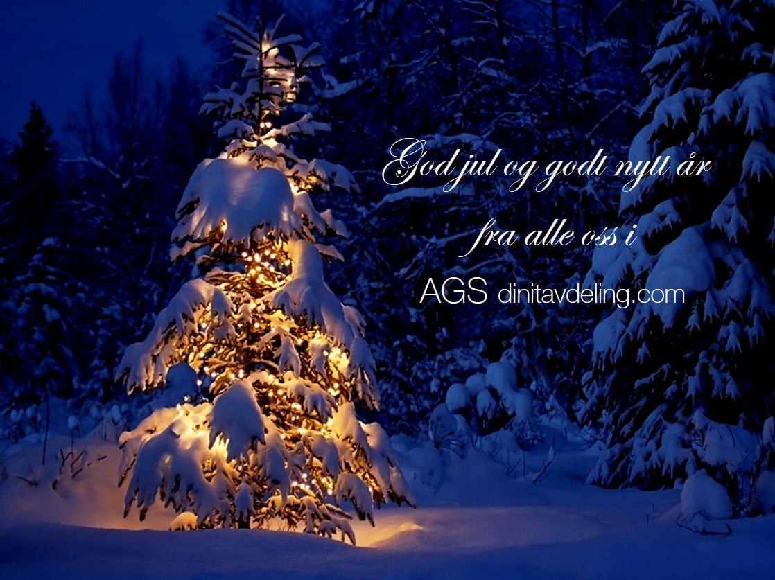 God Jul fra alle oss i AGS dinitavdeling.com